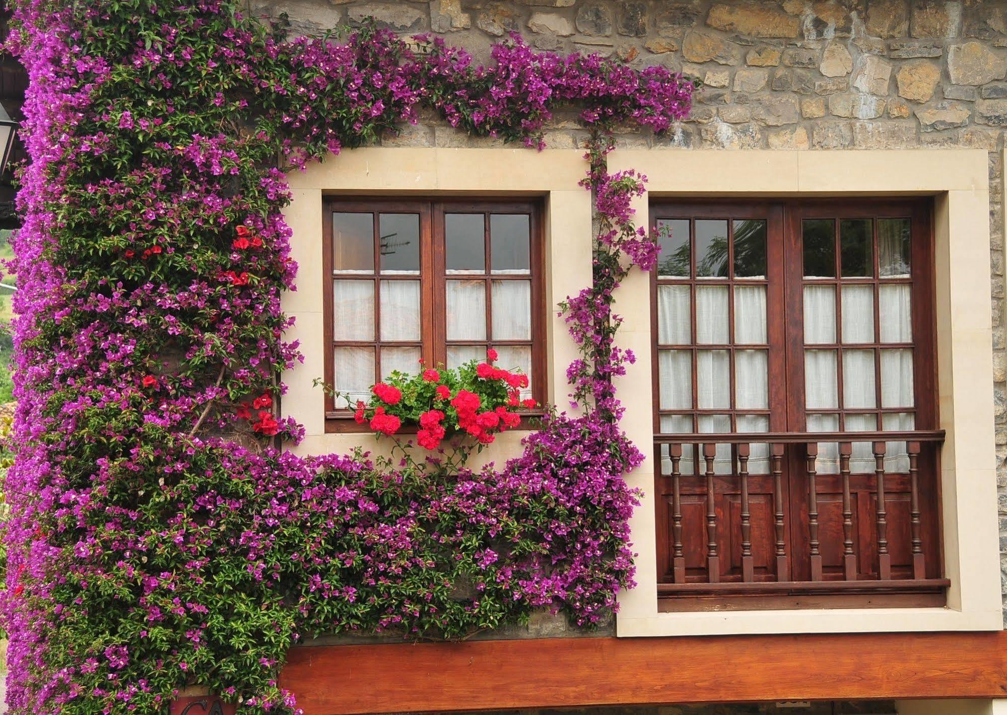 Casa Rural Llugaron I Affittacamere Miravalles Esterno foto